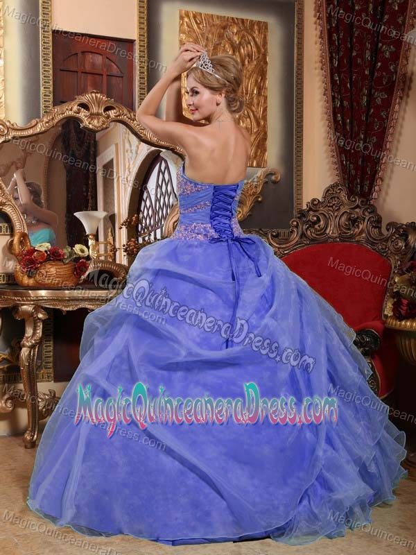 Blue Ball Gown Sweetheart Organza Sweet 15 Dresses with Appliques and Ruching