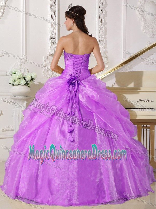 Lilac Strapless Organza Embroidery with Beading Quinceanera Dress in Muskegon