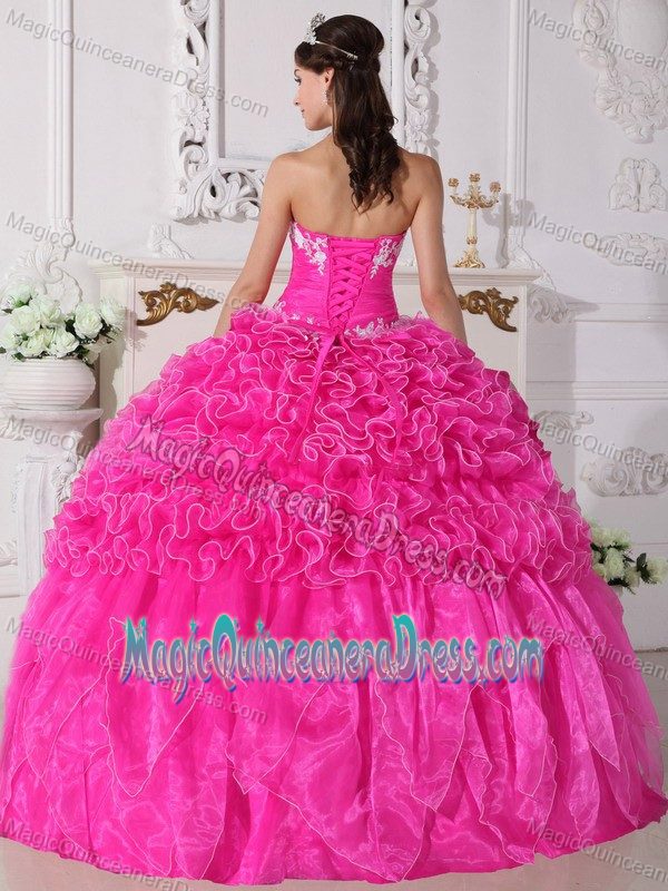 Pink Strapless Organza Embroidery with Beading Quinceanera Dress in Jackson