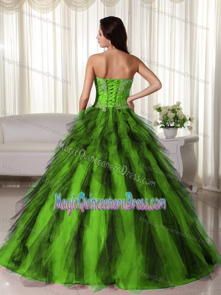 Green Ball Gown Strapless Taffeta Appliques Quinceanera Dress in Birmingham
