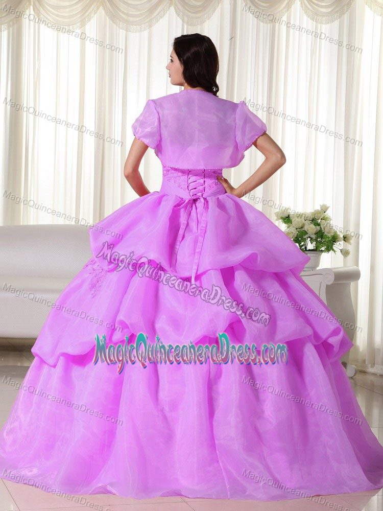 Rose Pink Strapless Organza Hand Made Flowers Quinceanera Dress in Ann Arbor
