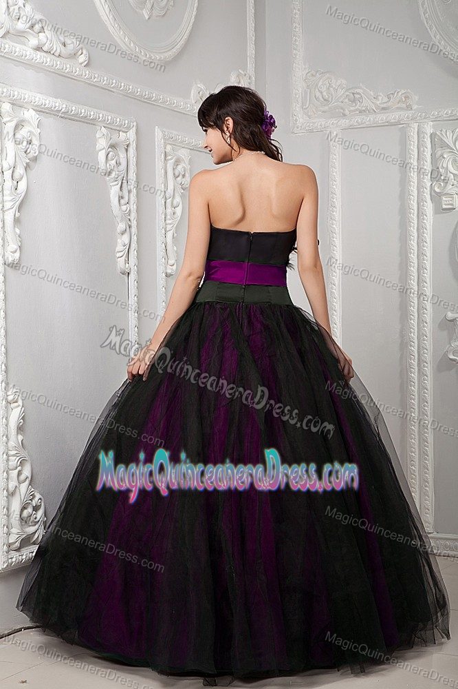 Black and Fuchsia Strapless Long Quinceanera Gown with Feathers in Elgin
