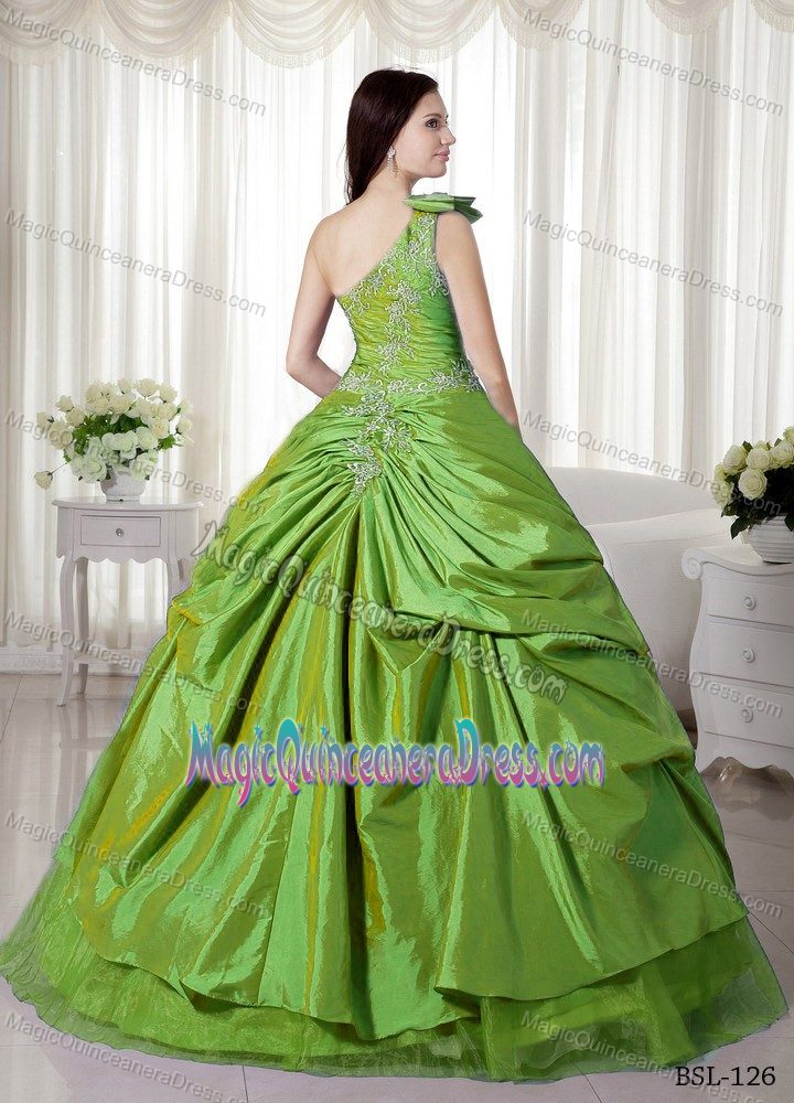 Green Flower One Shoulder Quinceanera Gown with Pick-ups and Appliques
