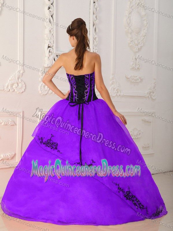 Special Purple Strapless Long Quinceanera Gown with Embroidery in Buffalo