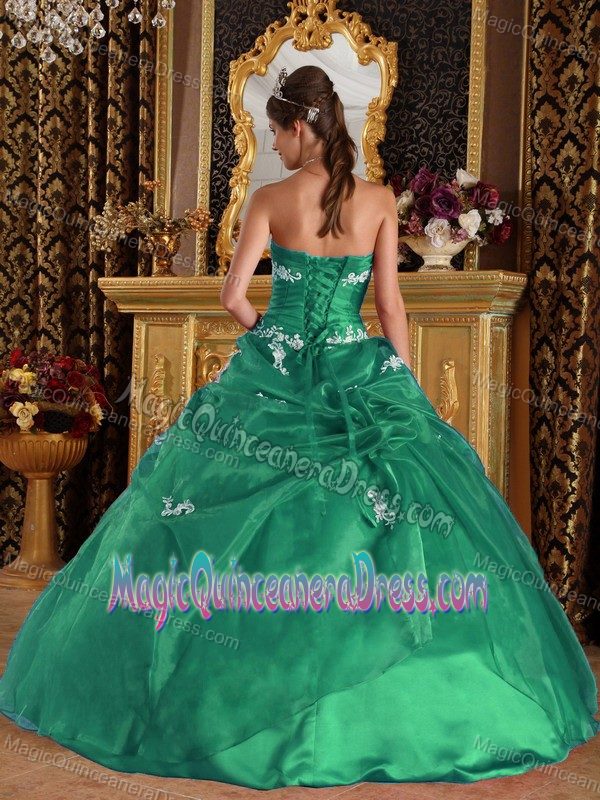 Green Strapless Floor-length Quinceanera Dress with Appliques in Boise ID