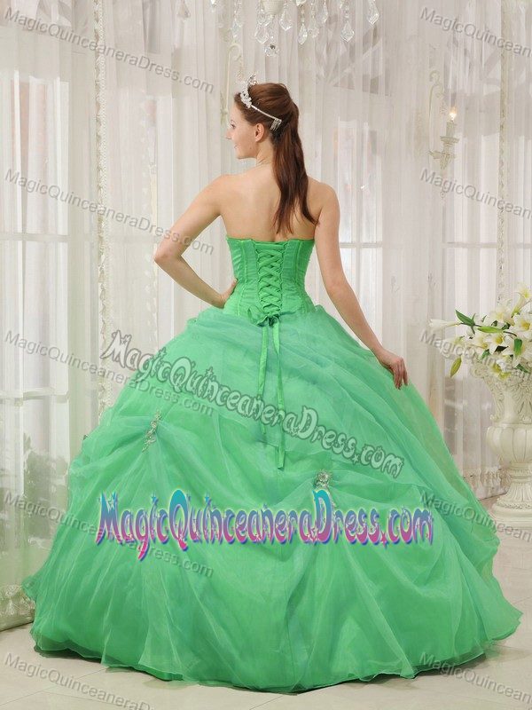 Pick-ups Ruched Beading Apple Green Organza Sweet 16 Dresses in Tucacas
