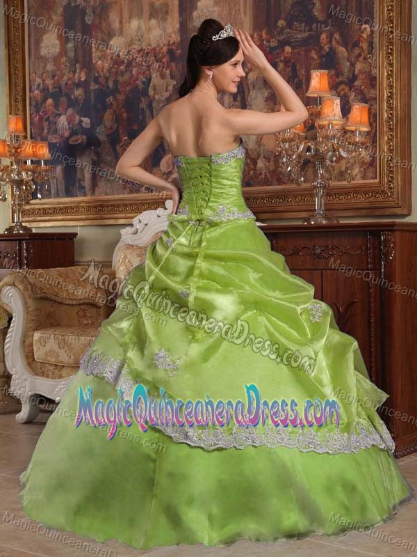 Appliques Organza Ruched Yellow Green San Carlos Quinceanera Dress