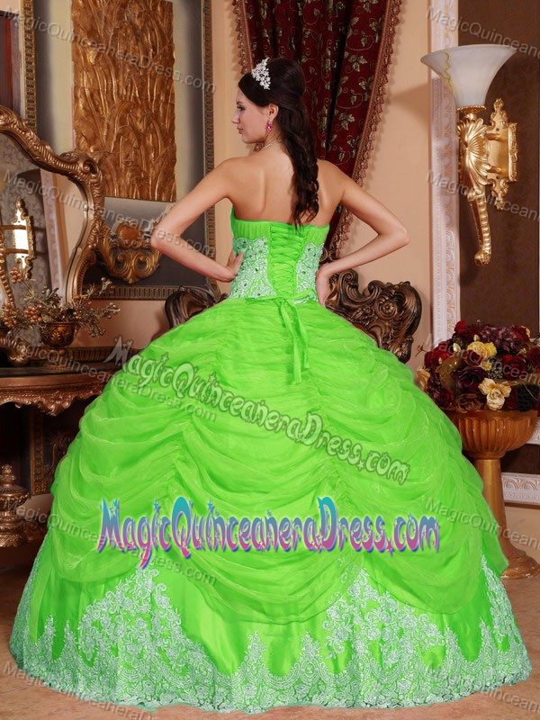 Spring Green Ruched Organza Beaded Pick-ups Toa Alta Quinceanera Dress