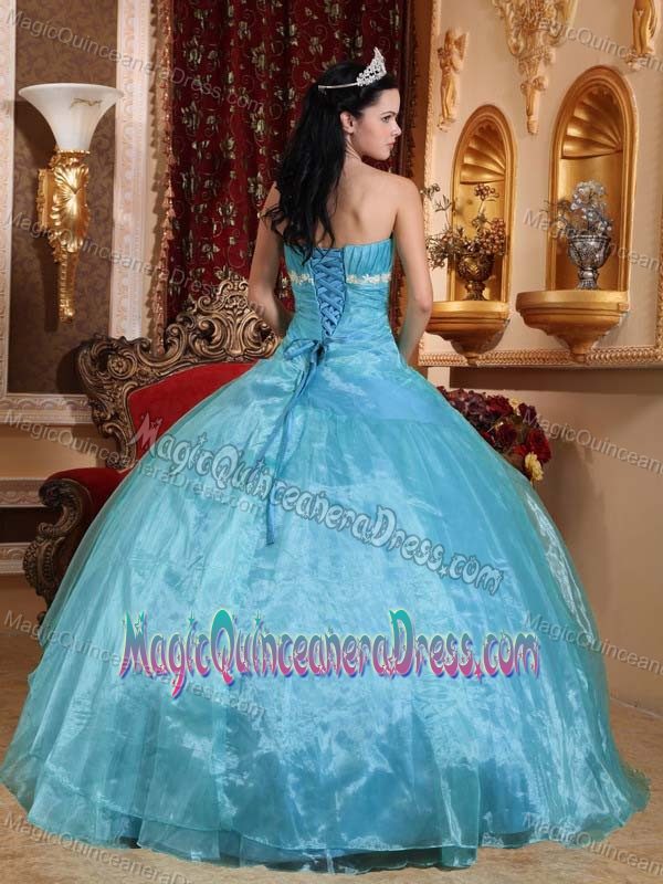 Ruched Light Blue Organza Appliques Quinceanera Dress in Maunabo