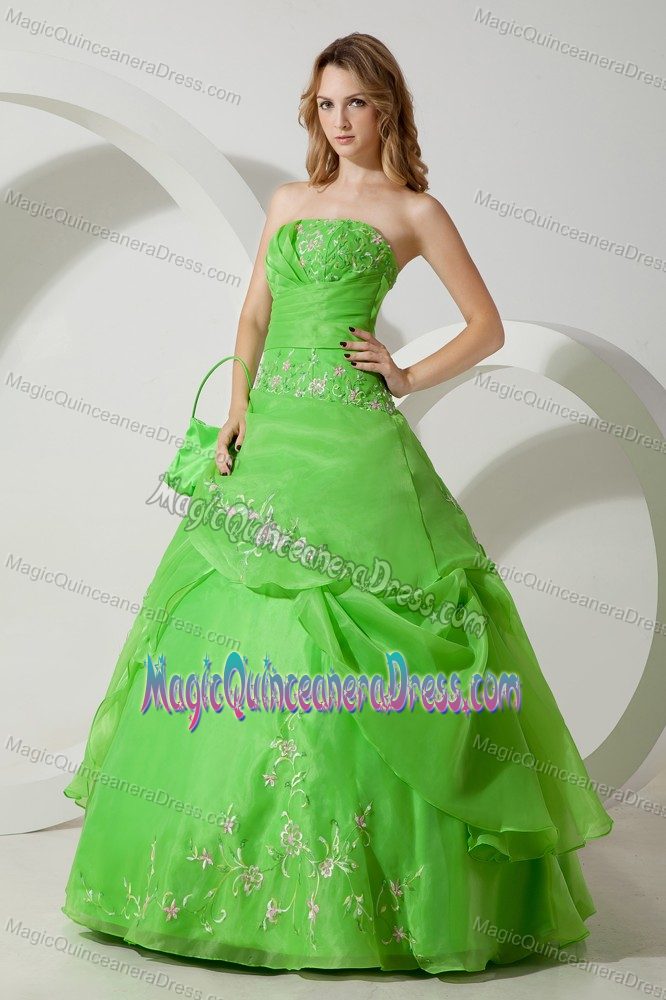 Ruched Embroidery Green Organza 2013 Arismendi Quinceanera Dresseses