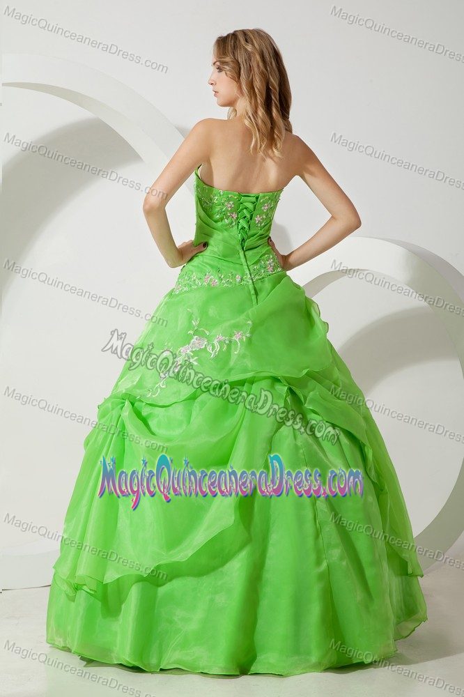 Ruched Embroidery Green Organza 2013 Arismendi Quinceanera Dresseses