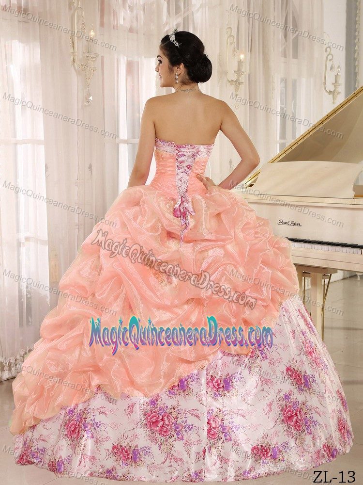 Printed Sweetheart Ball Gown Elegant Quinceanera Dress in Floor Length in Arcadia
