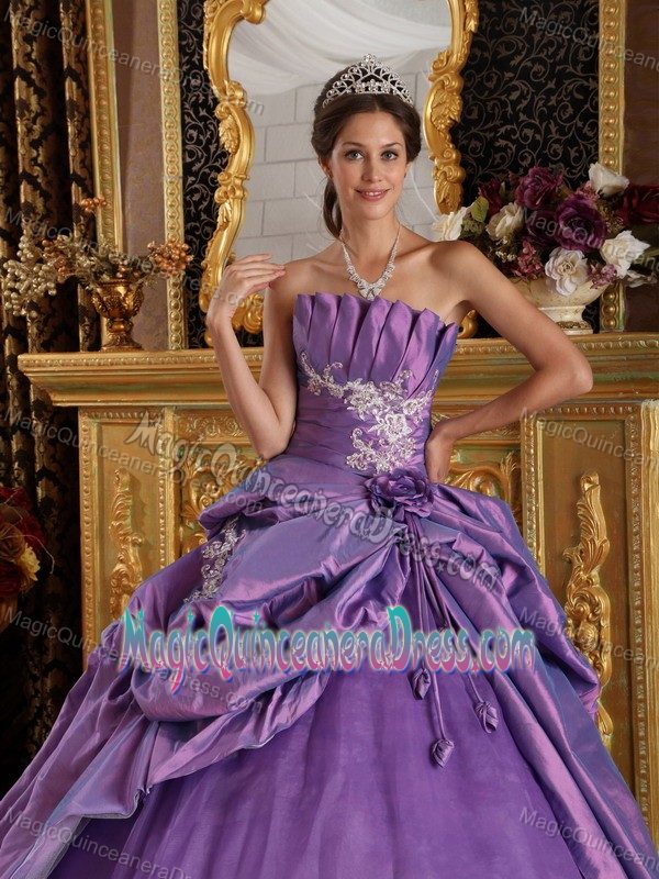 Pick-ups Flower Lavender Appliques Quinceanera Dress in Doctor Botrell
