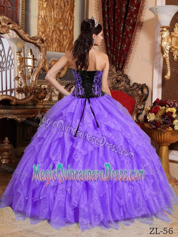 Embroidery Purple Beaded Organza Quinceanera Dress in Valle del Risco