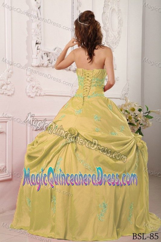 Ruched Appliques Gold Beading Taffeta Quinceanera Dresses for Sweet 16