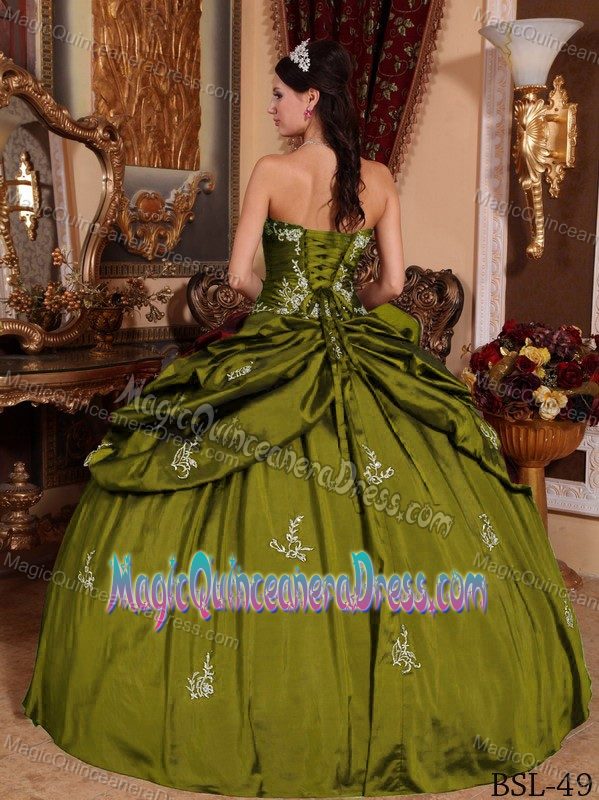 Pick-ups Ruched Appliques Olive Green Quinceanera Dresses in Aguaray