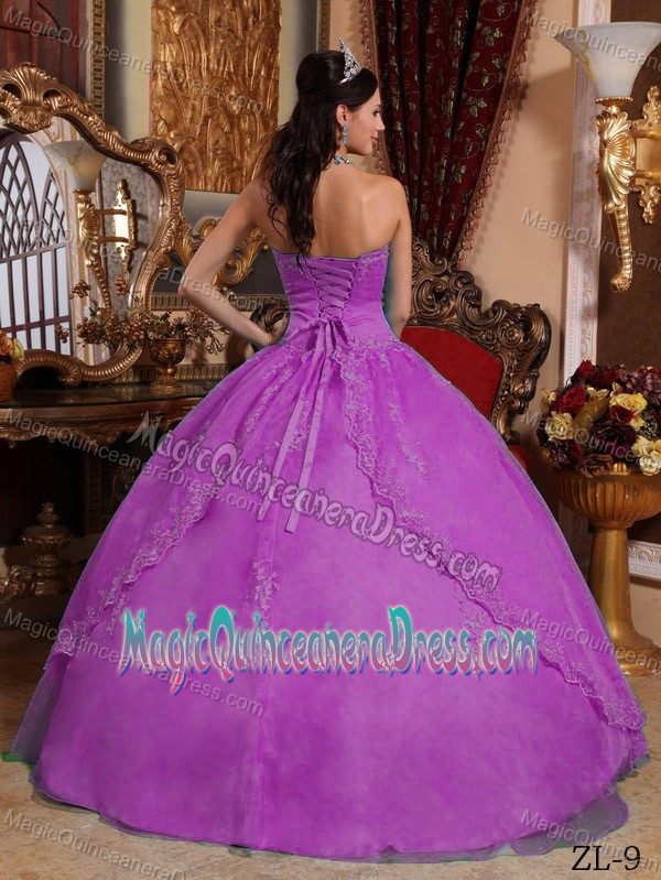 Cheap Appliques Purple Organza Quinceanera Dresses in Nuevo San Juan