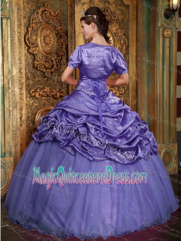 Appliques Purple Organza Brand New Sweet 16 Dresses in Hermosillo