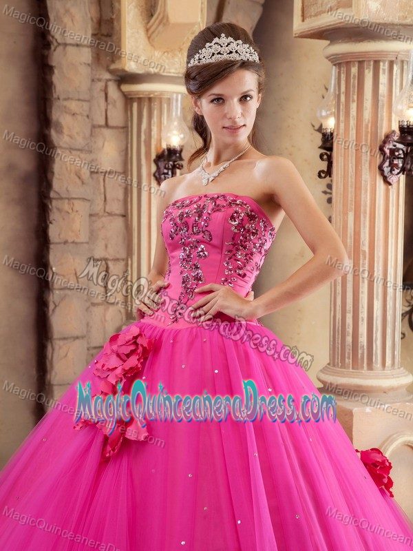 Hot Pink Beaded Flowers Appliques Quinceanera Dresses in Mexico City