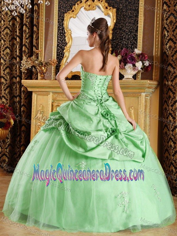 Apple Green Strapless Beading Quinceanera Gown in Altagracia
