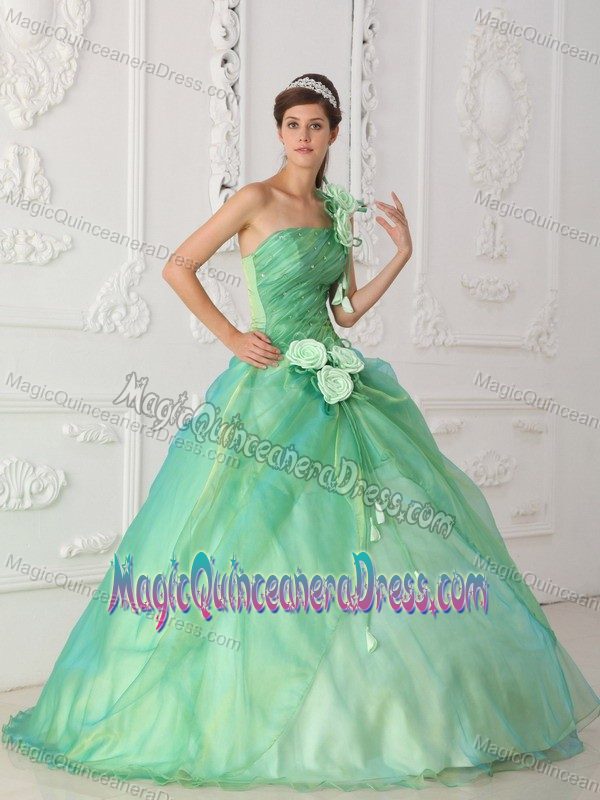Floral One Shoulder Sweet Sixteen Dresses in Apple Green at Leon