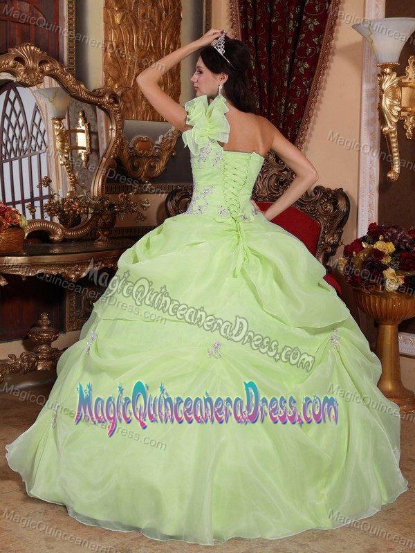 Yellow Green One Shoulder Appliques Quinceanera Dress in Tela
