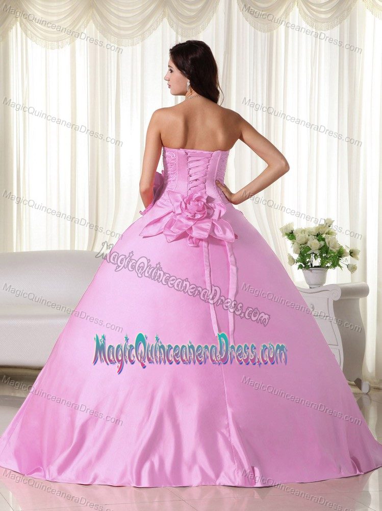 Pink Strapless Embroidery Sweet 15 Dresses Floor-length in Ayutla