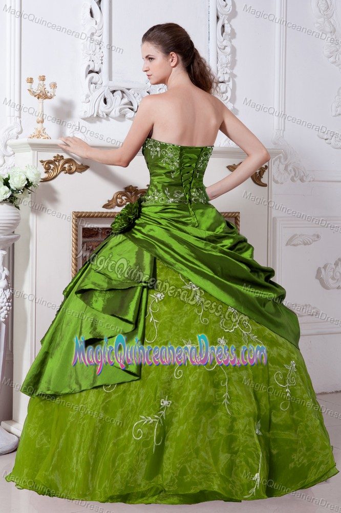 Olive Green Strapless Floor-length Embroidery Quinceanera Dress