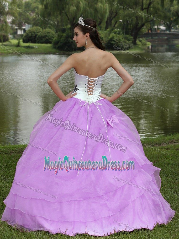 Embroidery Lavender Sweet Sixteen Dresses Strapless Floor-length