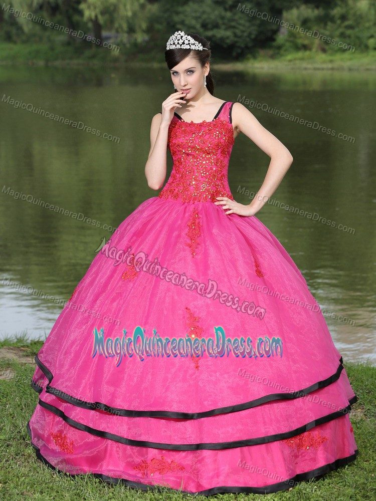 Long Sleeves Appliques Hot Pink Quinceanera Dress With V-neck
