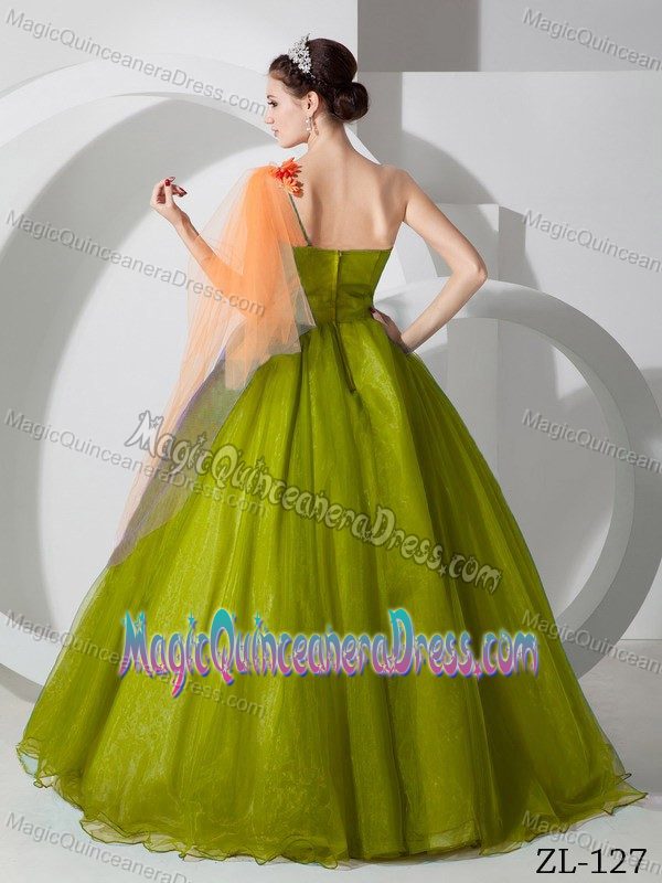 A-line One Shoulder Organza Hand Made Flowers Prom Dress in Lille France