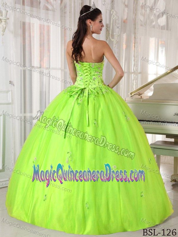 Yellow Green Strapless Appliques Sixteen Dresses in Bamberg Germany