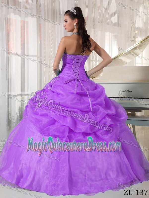 Lavender Strapless Organza Appliques Dress for Quince in Aue Germany