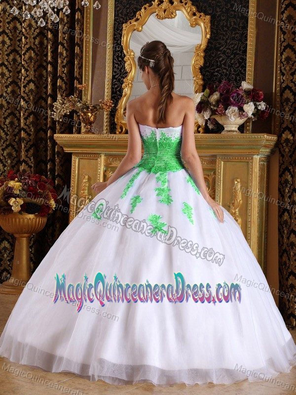 White and Spring Green Appliques Quinceanera Dress in Dijon France