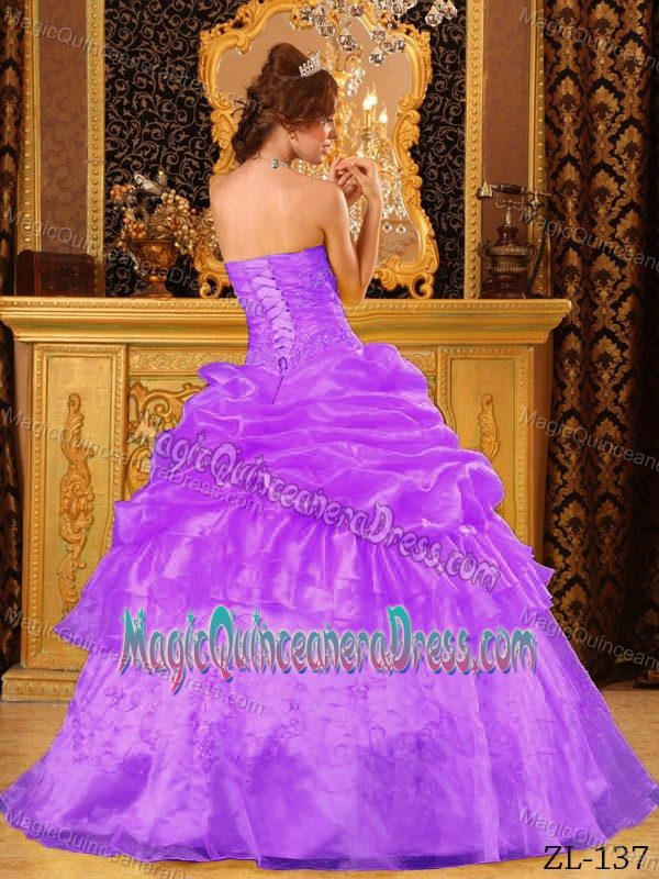 2013 Purple Strapless Appliques Dress for Quince in Maryborough QLD