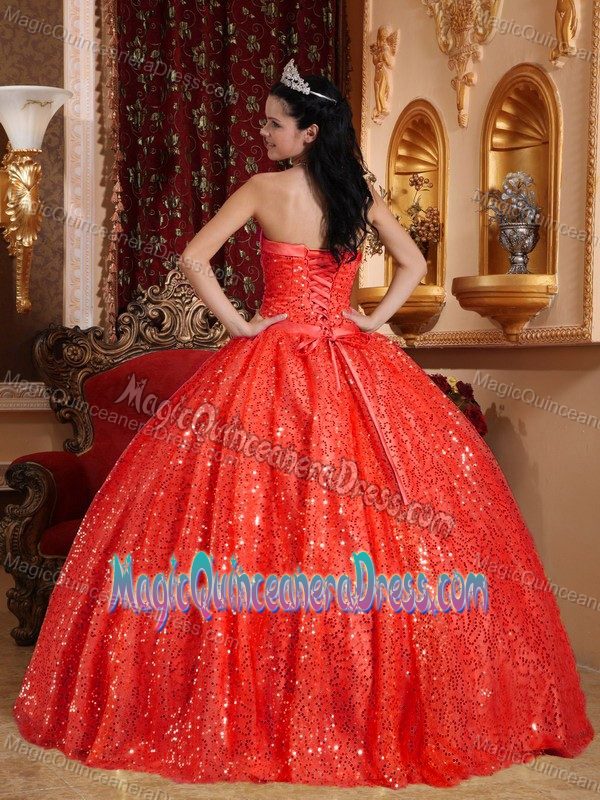 Heavy Sequins for Red Quinceanera Gown Dresses Decorated Appliques