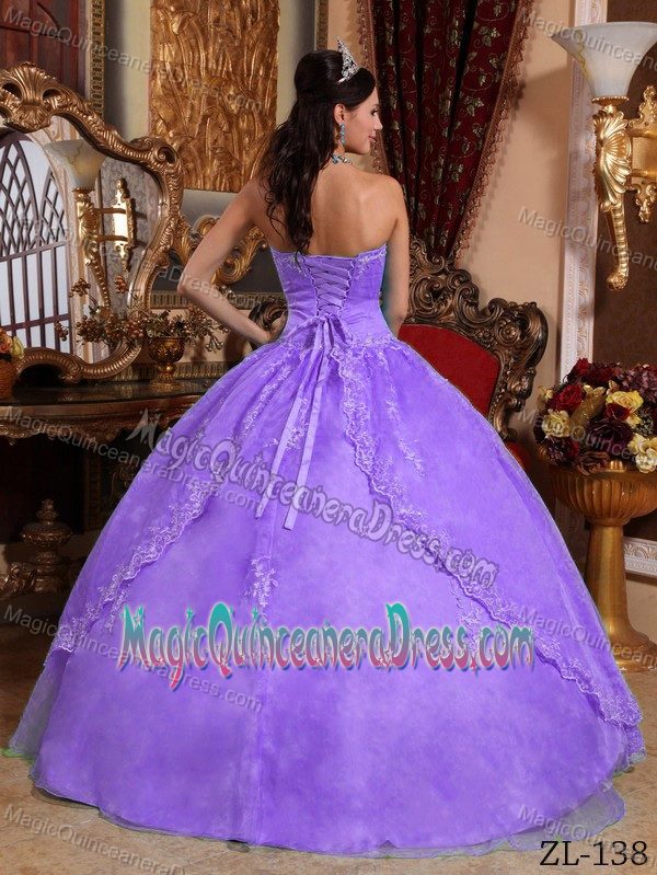 Hervey Bay QLD Strapless Appliques Sweet Sixteen Dresses in Purple
