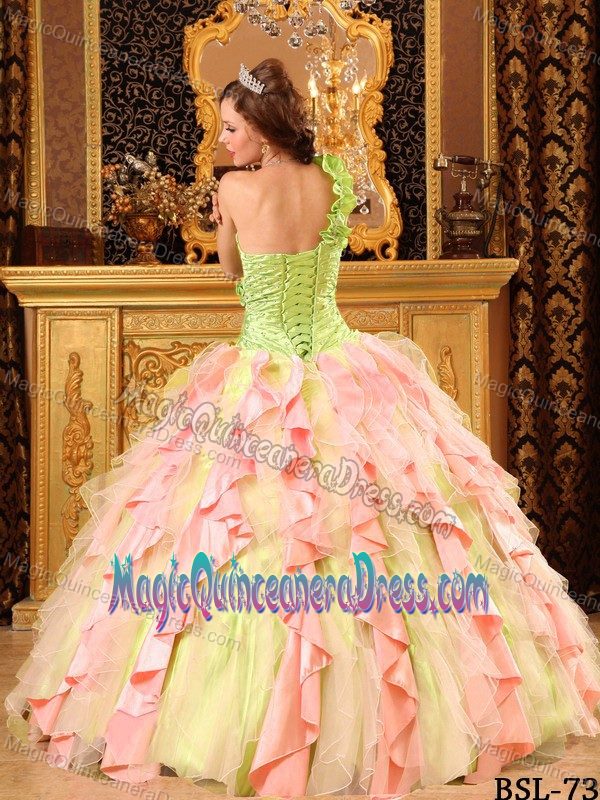 Multi-Color Floral One Shoulder Beading and Ruffles Quinceanera Dress