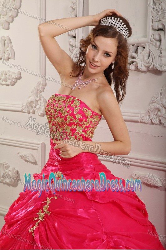 Pick Ups Embroidery Strapless Brush Train Ball Gown Dress for Wear
