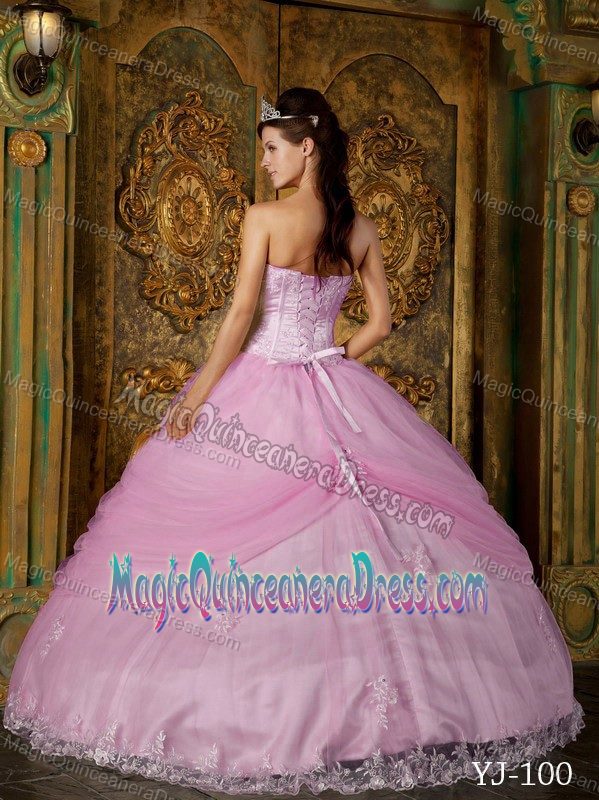 Handle Flowers Quinceanera Dresses with Boning Details in Light Pink