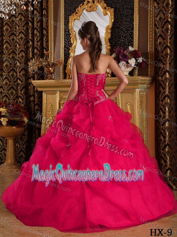 Hot Pink Sweet Sixteen Quinceanera Dresses Decorated Pick-ups with Slot