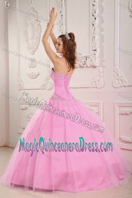 Grafton Beaded Bust and Waistband for Appliques Quince Dress in Pink