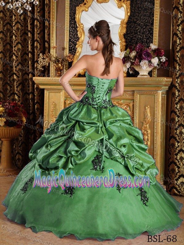 Green for Black Appliques Quinceanera Gown Dresses in Princess