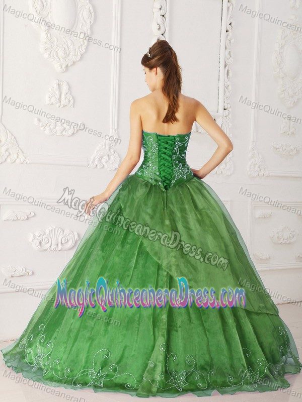 Perth for White Beaded Appliques for Quinceanera Dress in Olive Green