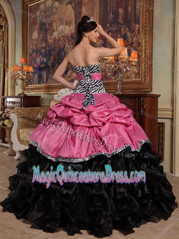 Coral Red and Black Pick-ups Quinceanera Dress with Zebra Printing