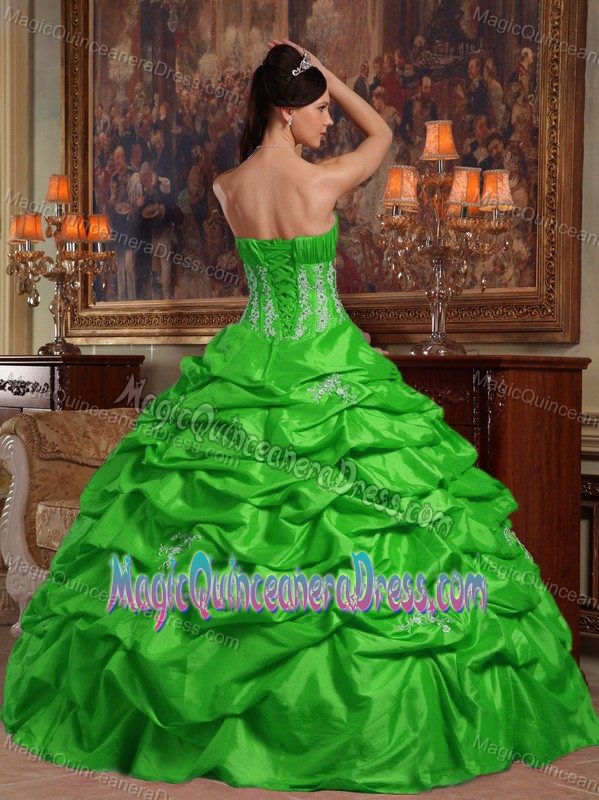 Green Ball Gown Strapless Appliques Quinceanera Dress in Adelaide SA