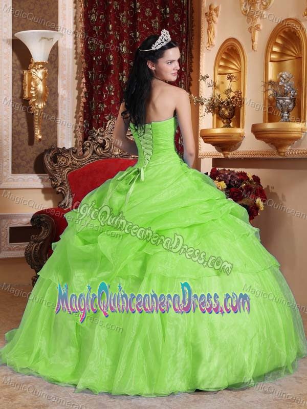 Green Strapless Quinceanera Dress with Beading Pick-ups in Alloa