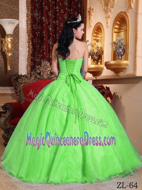 Organza Spring Green Appliques Sweet 16 Dresses in Spencers Wood