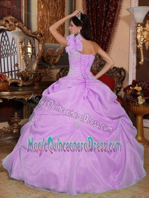 One Shoulder Lavender Appliques Quinceanera Gowns in Biggleswade