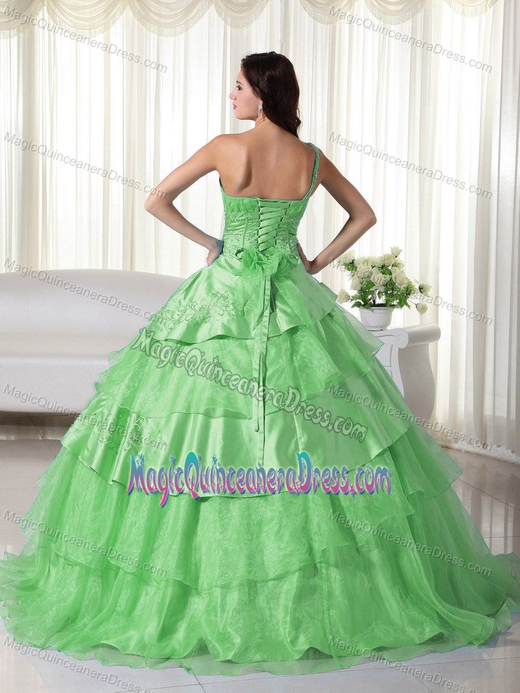 Organza Green One Shoulder Beaded Quinceanera Gown in Caddington